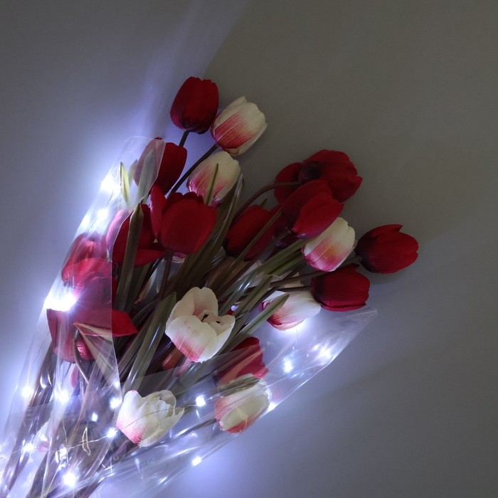 Плёнка упаковочная с гирляндой «Холодный белый», 60 х 60 см Плёнка упаковочная с гирляндой «Холодный белый», 60 х 60 см