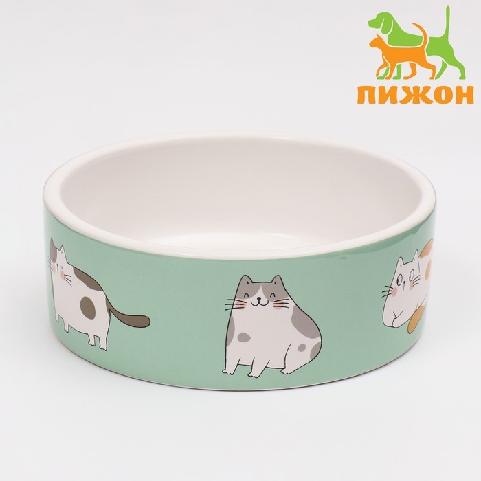 Миска керамическая  Миска керамическая "Котяры" 300 мл  12,5 x 4,5 cм, бело-зелёная