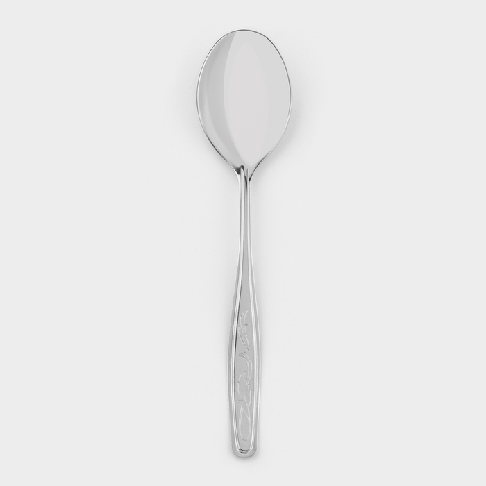 Ложка столовая «Силуэт», длина 20 см, толщина 1 мм, упрощённой обработки, цвет серебряный Ложка столовая «Силуэт», длина 20 см, толщина 1 мм, упрощённой обработки, цвет серебряный