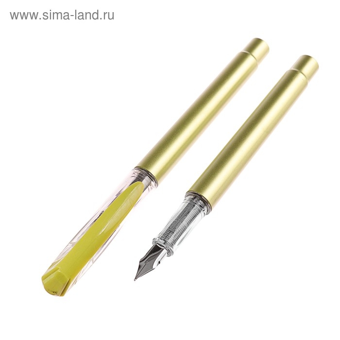 Ручка перьевая  Ручка перьевая "Перламутр", с закрытым пером, МИКС