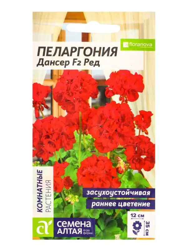 Семена цветов Пеларгония &laquo;Дансер Ред&raquo;, зональная, 3 шт., &laquo;Семена Алтая&raquo;