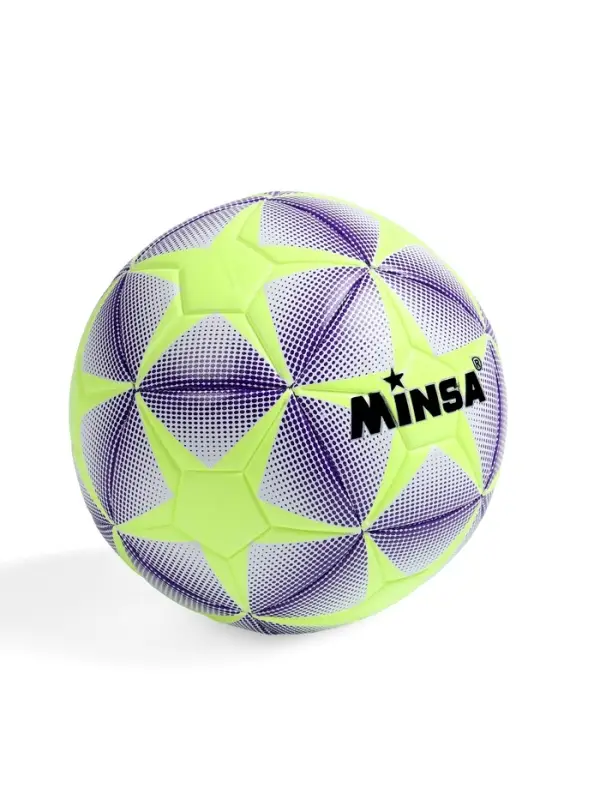 Футбольный мяч MINSA, машинная сшивка, 12 панелей, р. 5, TPE