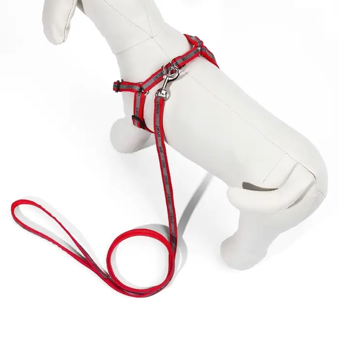 Шлейка с поводком &laquo;Спорт&raquo;, ОГ 23-35 с, ширина 1 см, поводок 120 см, светоотражающий, красная