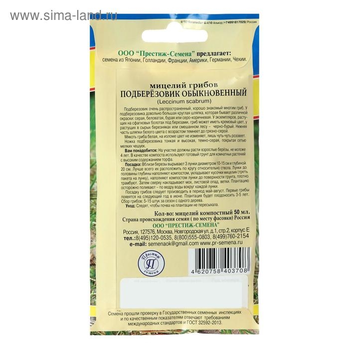 Мицелий гриб Подберёзовик, 50 мл Мицелий гриб Подберёзовик, 50 мл