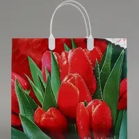 Пакет &laquo;Браво&raquo;, мягкий пластик, 30&times;30 см, 150 мкм