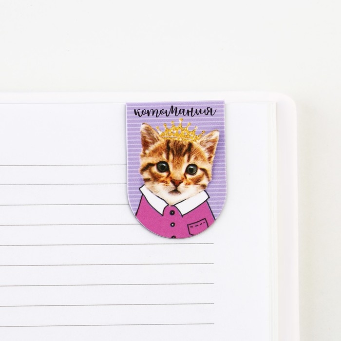 Закладки магнитные для книг, 8 шт «Котов и книг много не бывает», 15 х 15 см