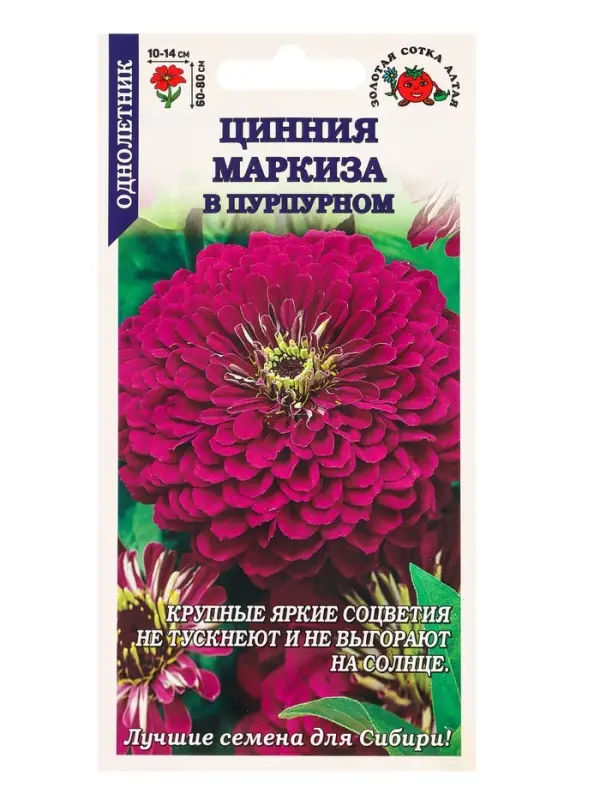 Семена Цинния Маркиза в Пурпурном /Сотка/ 0,2г/ h-90см, d-14см/*1200 Семена Цинния Маркиза в Пурпурном /Сотка/ 0,2г/ h-90см, d-14см/*1200