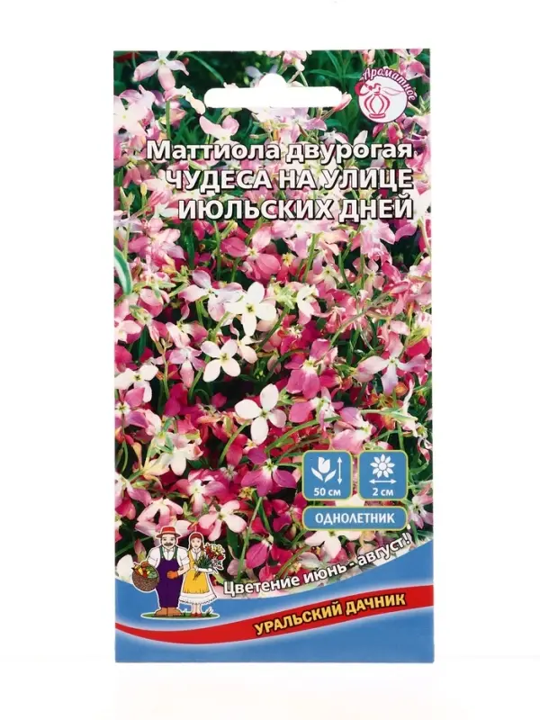 Семена Цветы Маттиола двурогая Чудеса на улице июльских дней (УД) Е/П , Е/П,  0,25 г.
