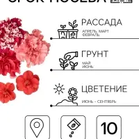 Семена цветов Петуния махровая &laquo;Пируэтт Микс&raquo; 10 шт.