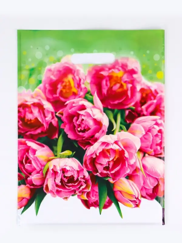 Пакет подарочный &laquo;Натюрель&raquo; полиэтиленовый с вырубной ручкой, 30&times;40 см, 30 мкм