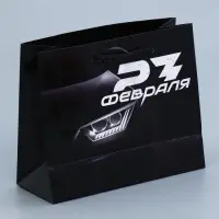 Пакет подарочный ламинированный, упаковка, «С 23 февраля», S 12 х 15 х 5.5 см