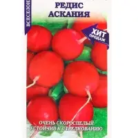 Семена Редис &laquo;Аскания&raquo;, 1 г, скороспелый, &laquo;Золотая Сотка Алтая&raquo;