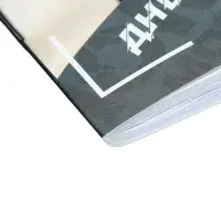 Дневник школьный для 5-11 классов «Мотоциклист», мягкая обложка, 48 листов