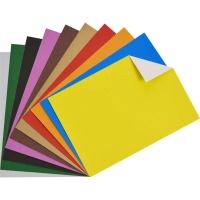 Картон цветной Выбор Есть 10л10цв А4 мелован папка