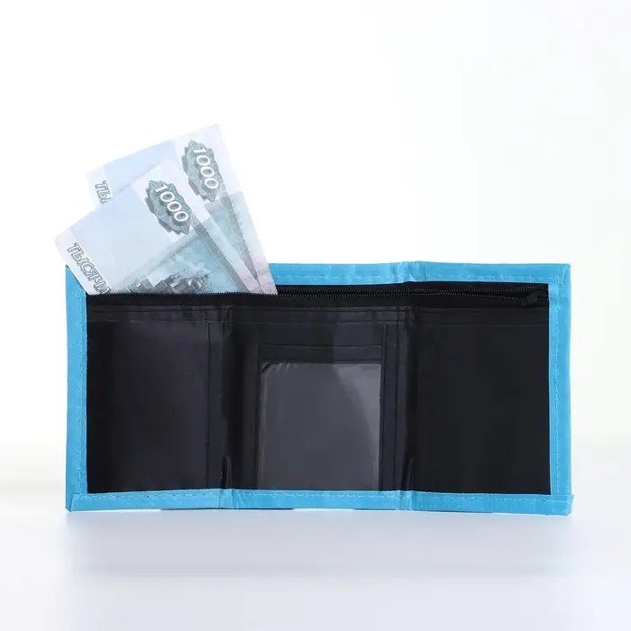 Кошелёк детский &laquo;Рэкс&raquo; Выбражулька, на липучке, голубой