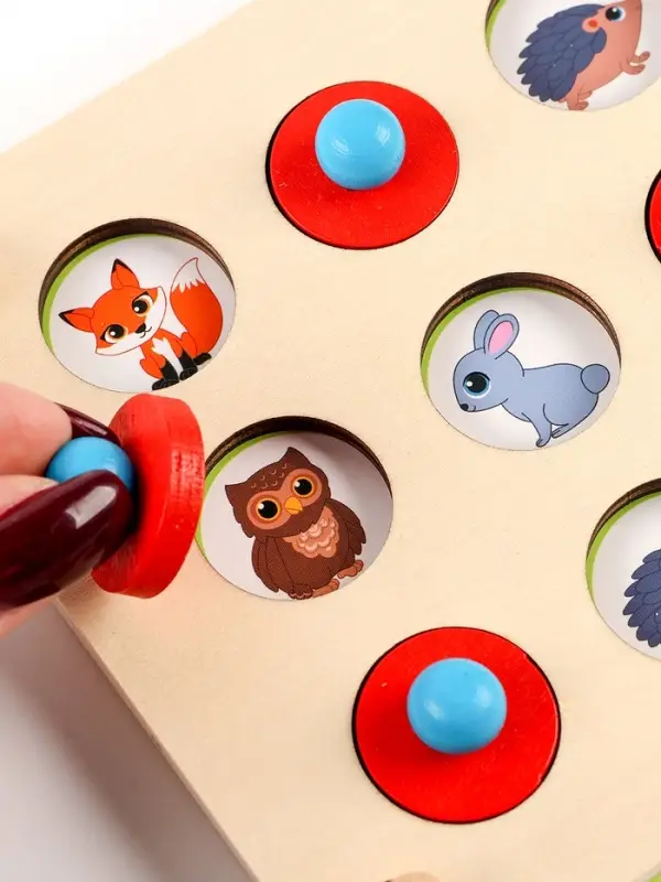 Мемо &laquo;Окружающий мир&raquo;, 12 окошек