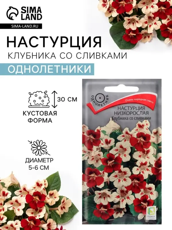 Семена цветов Настурция низкорослая &laquo;Клубника со сливками&raquo;, 1 г, &laquo;ПОИСК&raquo;