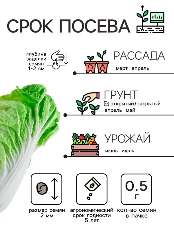 Семена Капуста пекинская "Бокал", 0,5 г