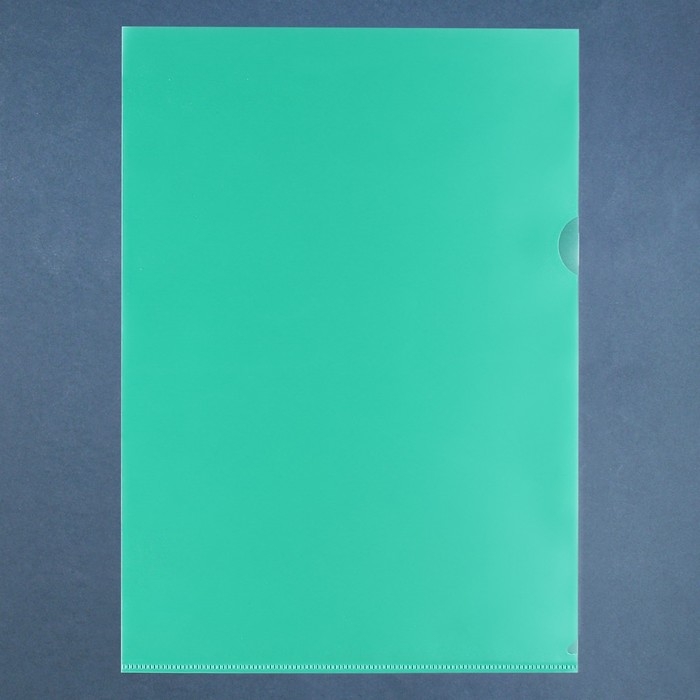 Набор папок-уголков А4, 100 мкм, Calligrata Выгодные, прозрачные, 5 штук, микс Набор папок-уголков А4, 100 мкм, Calligrata Выгодные, прозрачные, 5 штук, микс