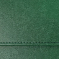 Планинг датированный 2026, зеленый,  303х150 мм, 120стр, Agenda