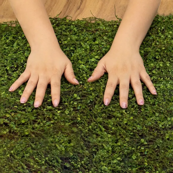 Декоративная панель, 90&times;40 см, &laquo;Ряска&raquo;, Greengo