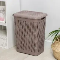 Корзина бельевая, 50 л, 42&times;31&times;56 см, с крышкой, МИКС