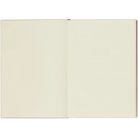 Ежедневник датированный 2027 IF 140x200мм 176л мягк Дереза I1938/white