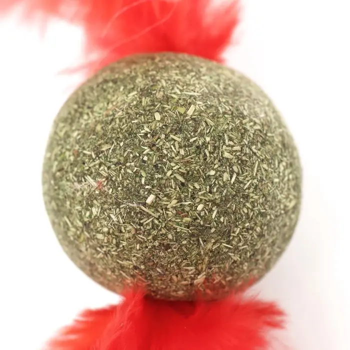 Игрушка для кошек из прессованной кошачьей мяты &laquo;Кошачья стрела&raquo;, 3.2 см