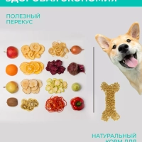 Сушилка для овощей и фруктов, дегидратор T-PFD42149