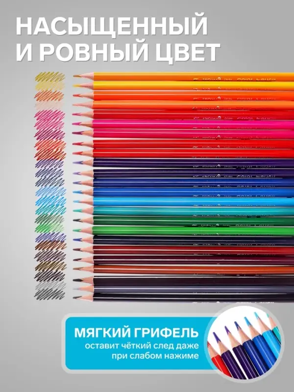 Карандаши 24 цвета, треугольные, деревянные &laquo;Морские обитатели&raquo;, в металлическом тубусе, МИКС