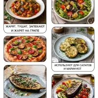 Семена Баклажан &laquo;Король Рынка&raquo;, 0.1 г, &laquo;Рецепты дедушки Никиты&raquo;