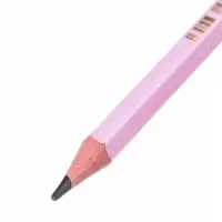 Карандаш чернографитный BIC HB Evolution &laquo;Пастель&raquo;, пластиковый, с ластиком