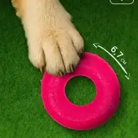 Жевательная игрушка для собак &laquo;Кольцо&raquo;, 6.7&times;2 см, прозрачная, PP, розовая