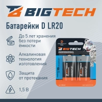 Батарейка BigTech Professional D/E95/LR20 бл/2шт