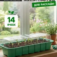Мини - парник для рассады, 35&times;13&times;11 см, 14 ячеек под таблетки для рассады d=4 см, пластик, Greengo