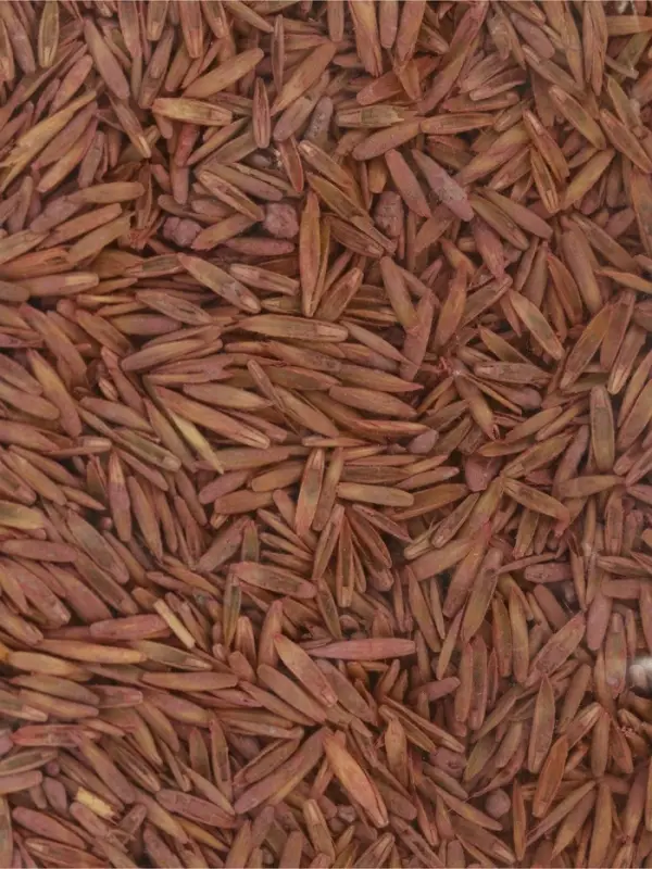 Газонная травосмесь для быстрого ремонта газона "POWERSEED", 1 кг