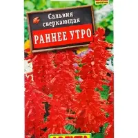 Семена цветов Сальвия Раннее утро , Ц/П,0,1 г Семена цветов Сальвия Раннее утро , Ц/П,0,1 г