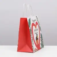 Пакет подарочный, упаковка, &laquo;Радуйся&raquo;, 22&times;22&times;11 см