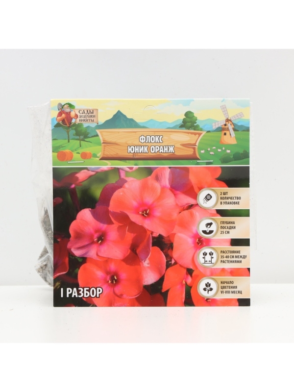 Флокс «Юник Оранж» корневище в пакете с торфогрунтом, р-р I, 2 шт.