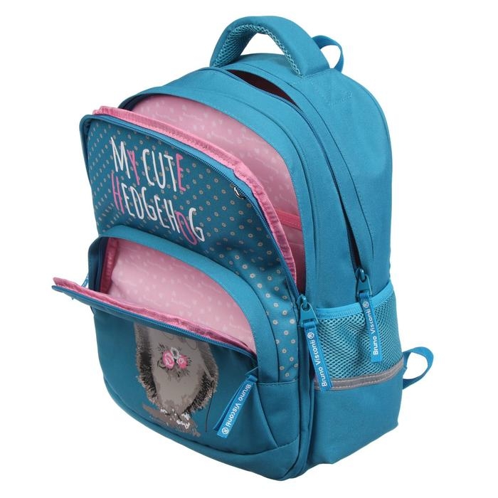 Рюкзак школьный Bruno Visconti Рюкзак школьный Bruno Visconti "Ёжик", 40 х 30 х 19 см, эргономичная спинка, пенал в подарок