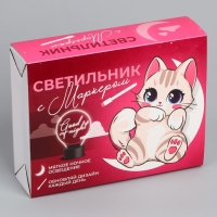 Светильник «Кот« с маркером, 18 х 13,5 см, модель GMN-0001.