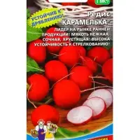 Семена Редис &laquo;Карамелька&raquo; 2 г