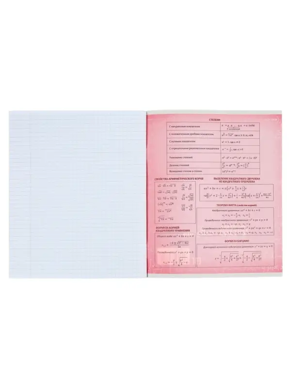 Предметная тетрадь по алгебре Calligrata &laquo;Пиксели&raquo;, 36 листов, в клетку, со справочным материалом, обложка из мелованного картона