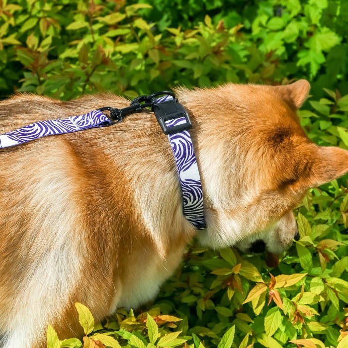 Ошейник «В гармонии с природой», застёжка - фастекс, 2.5 см, 40-55 см Ошейник «В гармонии с природой», застёжка - фастекс, 2.5 см, 40-55 см