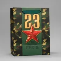 Пакет подарочный ламинированный, упаковка, &laquo;С 23 февраля&raquo;, MS 18&times;23&times;10 см
