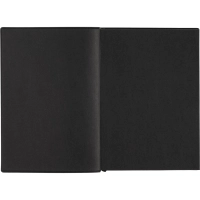 Ежедневник датированный 2026 ESCALADA А6+ (126х174мм), 176л, черный 70297