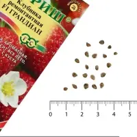 Семена Земляника &laquo;Грандиан&raquo;, F1, 5 шт., ремонтантная, &laquo;Гавриш&raquo;