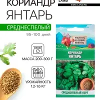Семена Кориандр "Янтарь", 5 г Семена Кориандр "Янтарь", 5 г