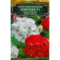 Семена цветов Пеларгония Элитная F1 красно-белая, смесь сортов Мн Золотая серия, Ц/П,5 шт. Семена цветов Пеларгония Элитная F1 красно-белая, смесь сортов Мн Золотая серия, Ц/П,5 шт.