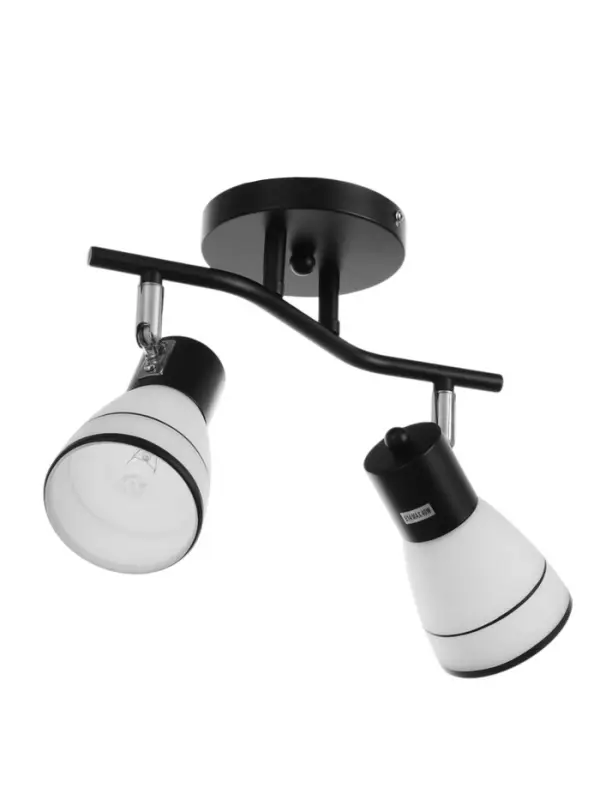 Спот потолочный &laquo;Айрис&raquo;, 2хЕ14, 40 Вт, черный, 38&times;18&times;22 см